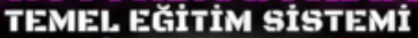 TEMEL EĞİTİM SINAVI